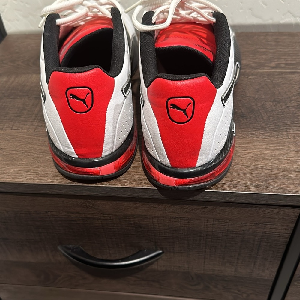 Puma - Picture 4 of 6